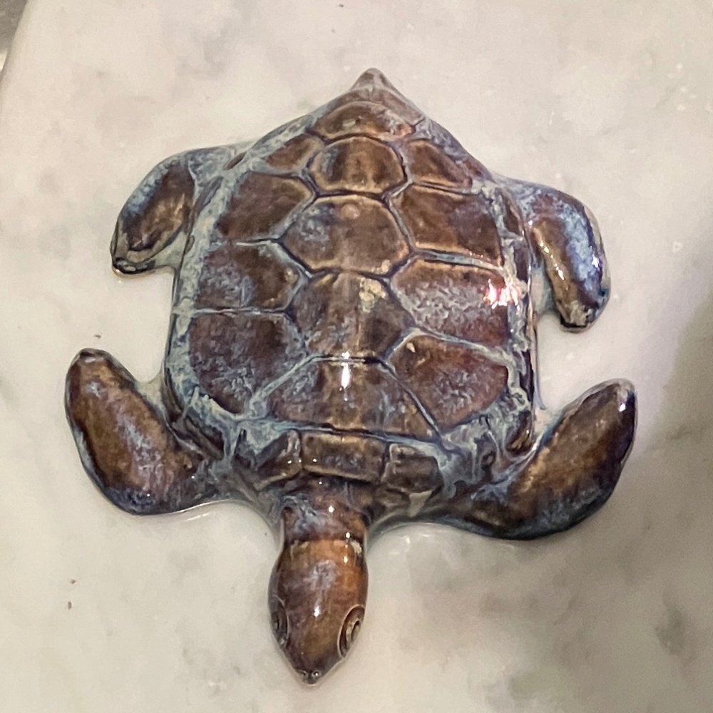 Sea Turtle - Picture 8 of 11